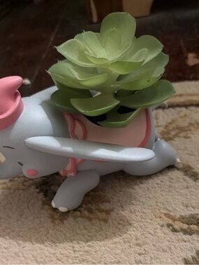 Disney Gray Dumbo Planter with Pink Accents and Green Succulent